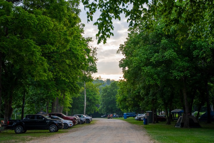 Gravel road lined with parked cars and lush green trees at sunset.