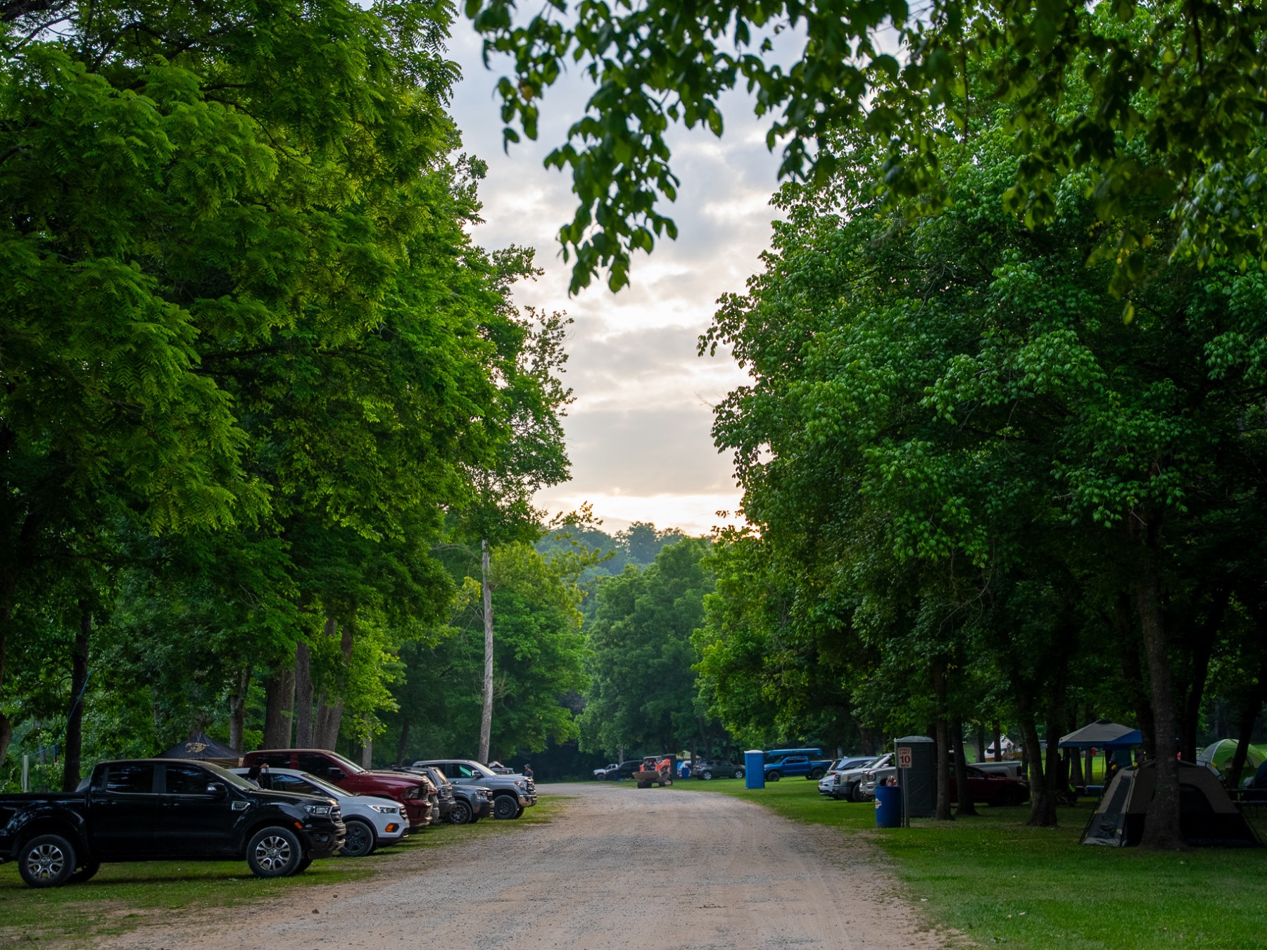 Parked cars line a tree-shaded dirt road at sunset.